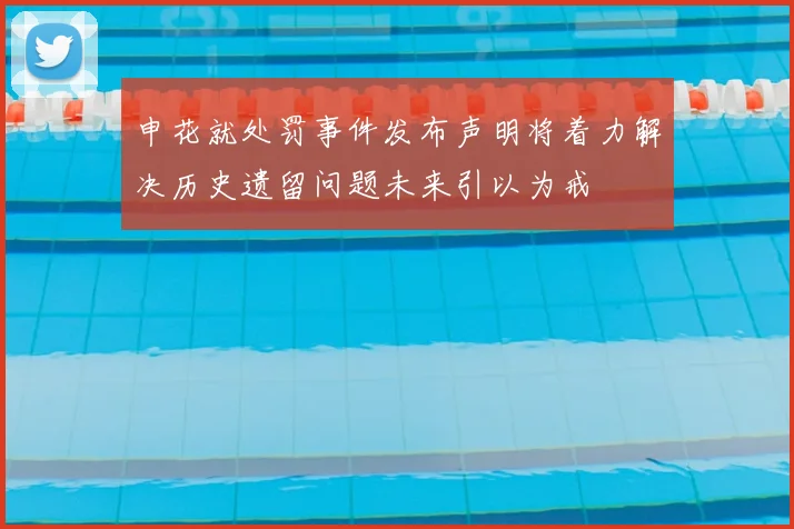 申花就处罚事件发布声明将着力解决历史遗留问题未来引以为戒