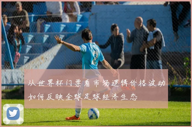 从世界杯门票看市场逻辑价格波动如何反映全球足球经济生态