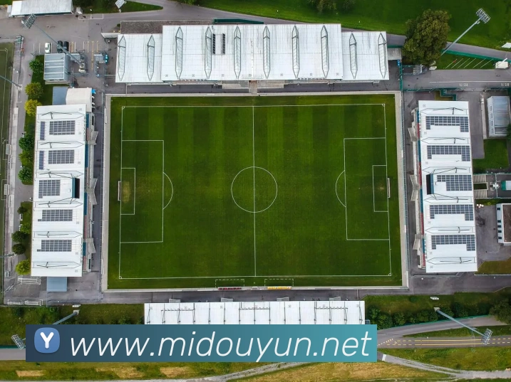 必一运动平台生态图